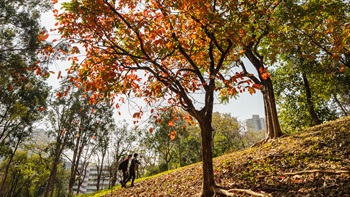 The park takes advantage of the natural contours of the hilly ground.